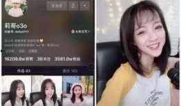 网红黑历史爆料视频网站,揭秘热门视频网站背后的真相