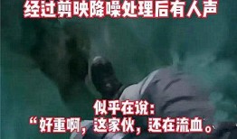 观察者爆料社会事件视频,真实记录与反思