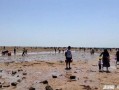海南赶海爆料视频播放,揭秘渔民捕捞瞬间，海量视频播放引关注