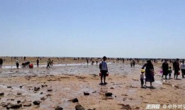海南赶海爆料视频播放,揭秘渔民捕捞瞬间，海量视频播放引关注