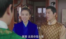 将军在上电视剧在线观看,宫廷权谋与爱情纠葛的精彩演绎