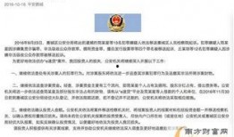 美国税局最新爆料案件,揭秘巨额逃税案件内幕