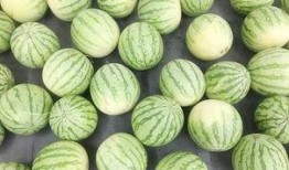 最新吃瓜爆料真实,当红明星惊人内幕曝光