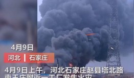石家庄工厂爆料事件视频,真相背后令人震惊