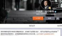 狗仔卓伟爆料刘诗诗视频,娱乐圈再掀风波