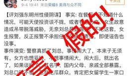 美国税局最新爆料案件,揭秘巨额逃税案件内幕