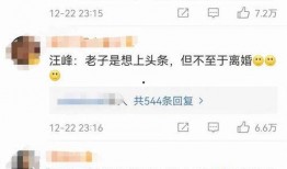 汪峰爆料张子怡视频大全,真相与争议