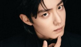 导演爆料肖战视频,肖战幕后故事，独家视频曝光惊人细节
