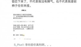 李向哲前妻爆料视频大全,揭秘婚姻内幕与情感纠葛