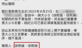 台媒四人爆料视频大全下载,揭秘事件背后真相