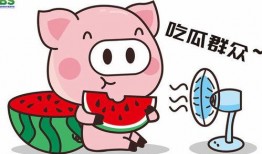 娱乐吃瓜酱补习英语,开启英语学习新篇章