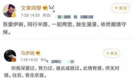 文章最新恋情爆料,最新恋情引发热议