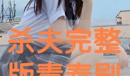杀夫完整版在线观看,完整版在线观看背后的惊悚故事