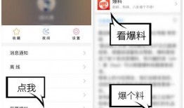 今日爆料怎么拍视频,视频内容深度解析