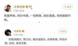 文章最新恋情爆料,最新恋情引发热议