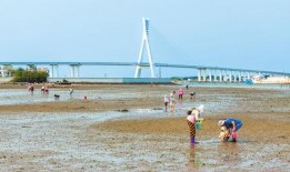 海南赶海爆料视频播放,揭秘渔民捕捞瞬间，海量视频播放引关注