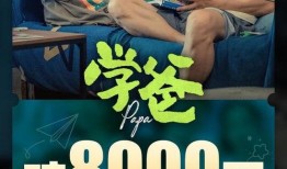 清迈扫地僧爆料视频播放,视频播放背后的惊人真相