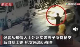 平乡事件爆料视频,揭秘背后真相与争议