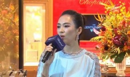汪峰爆料张子怡视频大全,真相与争议