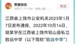 爆料致远中学事件视频,真相与争议交织