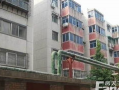 郑州花园路最新爆料信息,繁华街区焕新记
